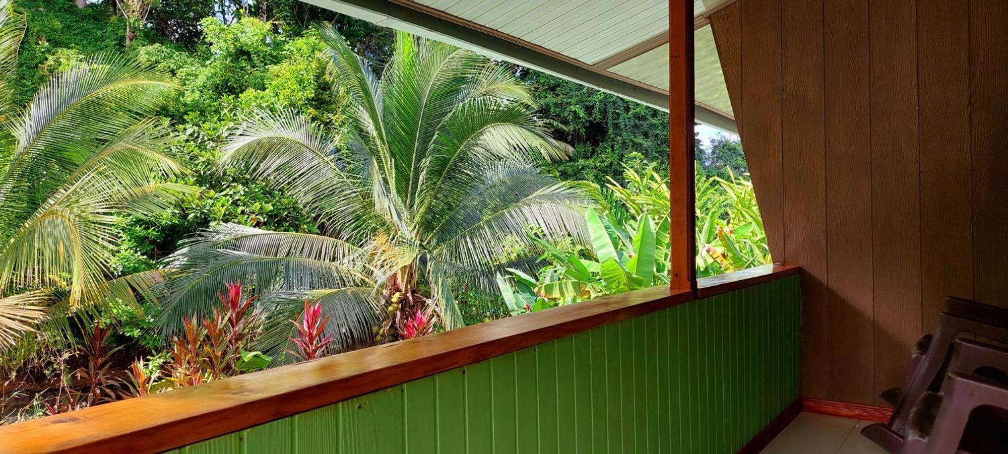 مبيت وإفطار Drakes Bay Casa El Tortugo المظهر الخارجي الصورة